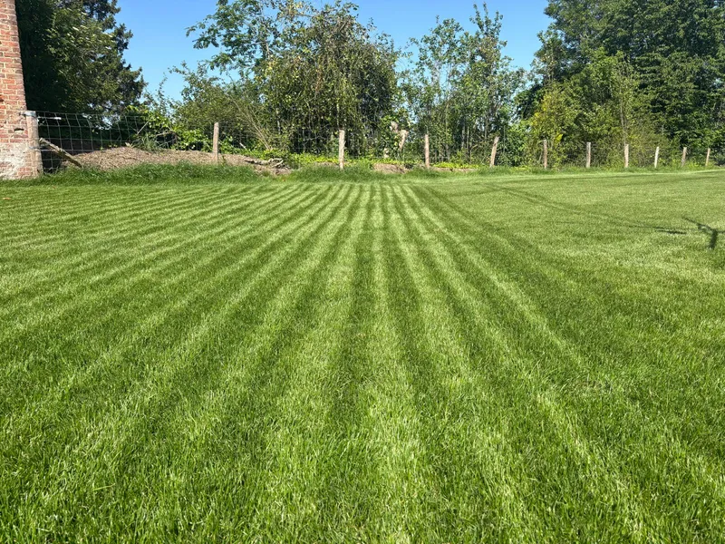Chantier semis & création de gazon par JardinAgri
